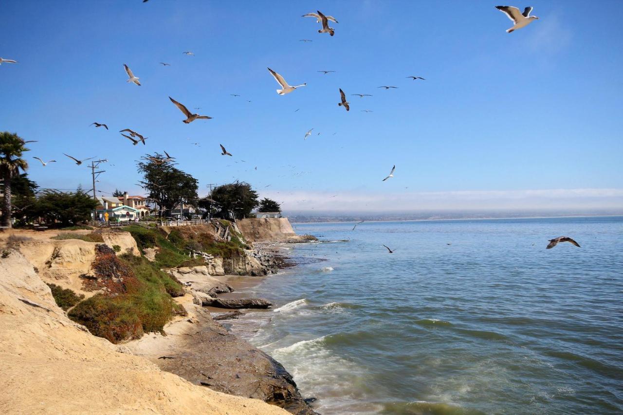 圣克鲁兹Pleasure Point Retreat别墅 外观 照片
